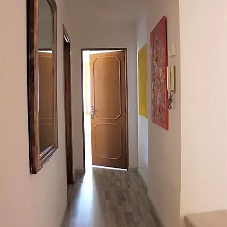 Il Viterbino Viterbe